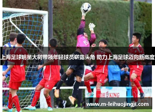 上海足球明星大树带领年轻球员崭露头角 助力上海足球迈向新高度