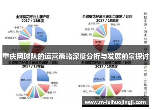 重庆网球队的运营策略深度分析与发展前景探讨